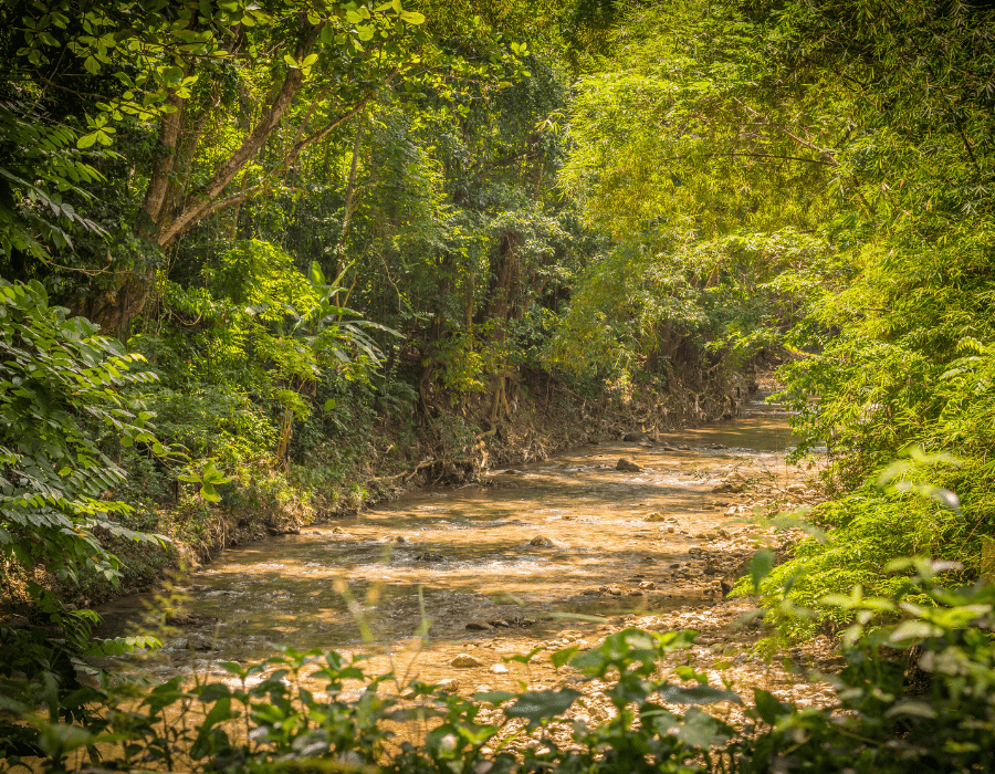 doctors for tourists in montego bay