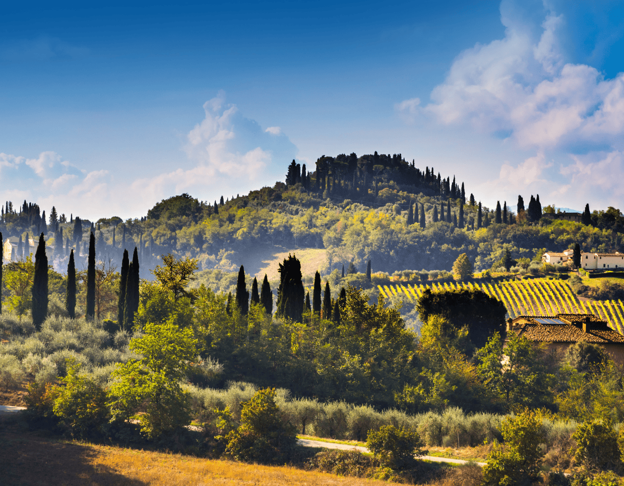 italy micro weddings