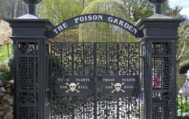 Alnwick Garden