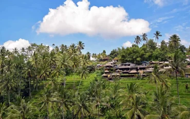 ubud travel tips
